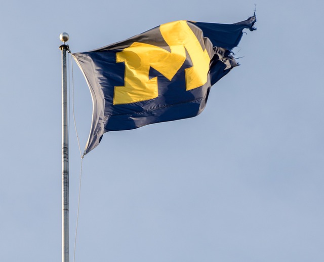 tz